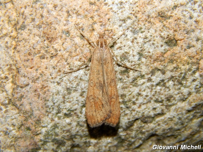 Parco del ticino : incontri del 23/8/14